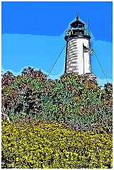 Wildflowers Surround Cape Poge Lighthouse - Digital Painting